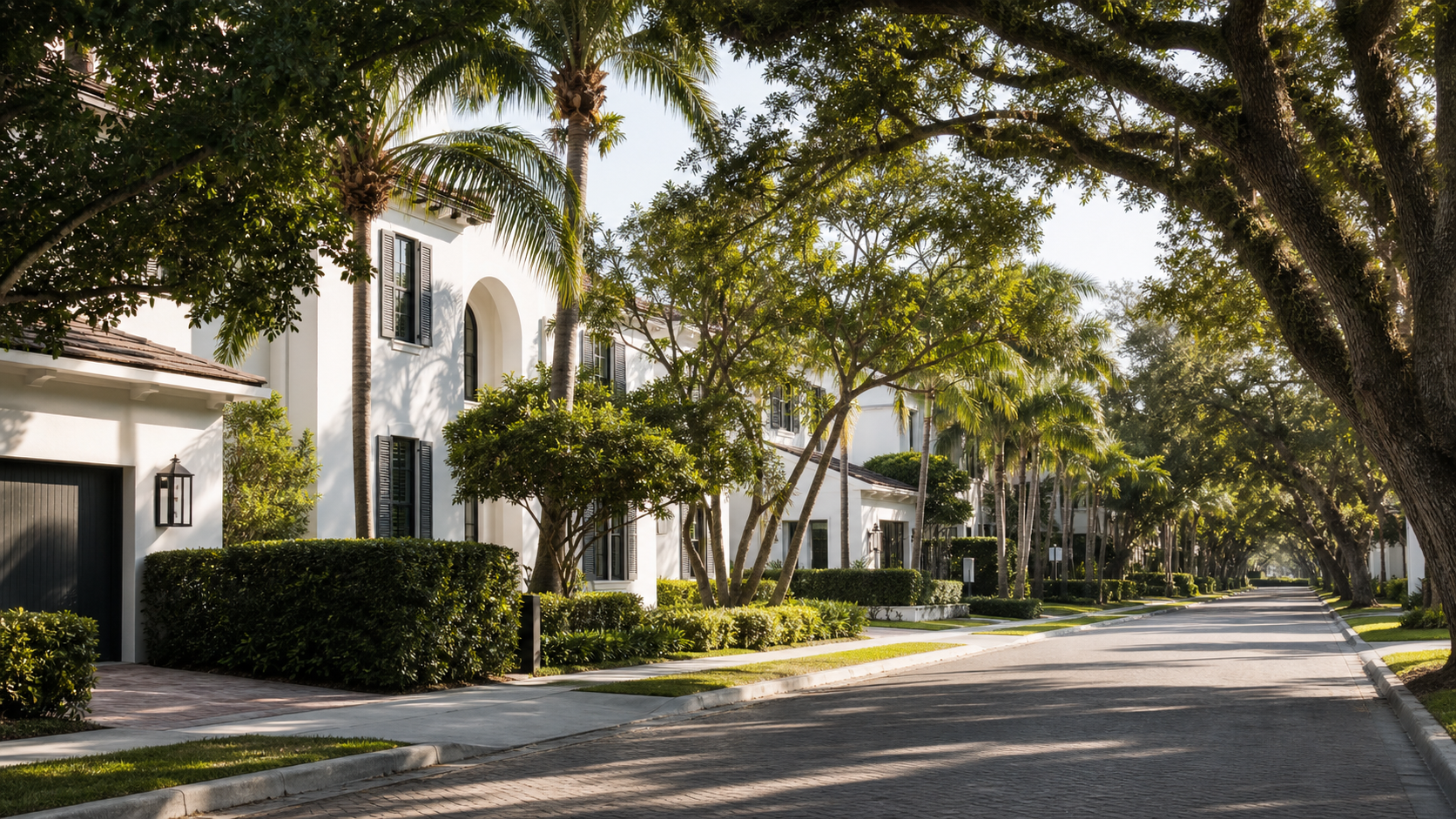 A palm-lined South Florida neighborhood street